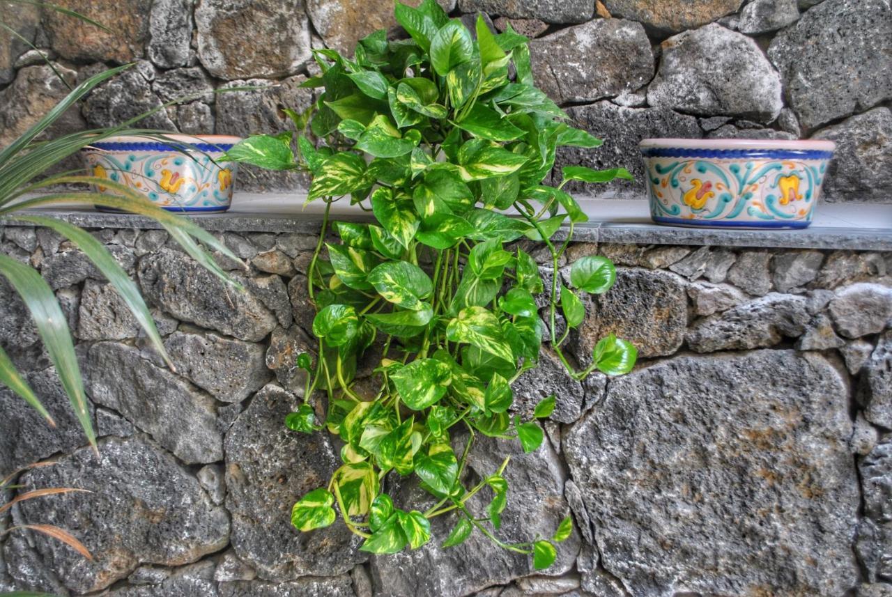 Villa Dedalisa By Holidayngo Acireale Kültér fotó
